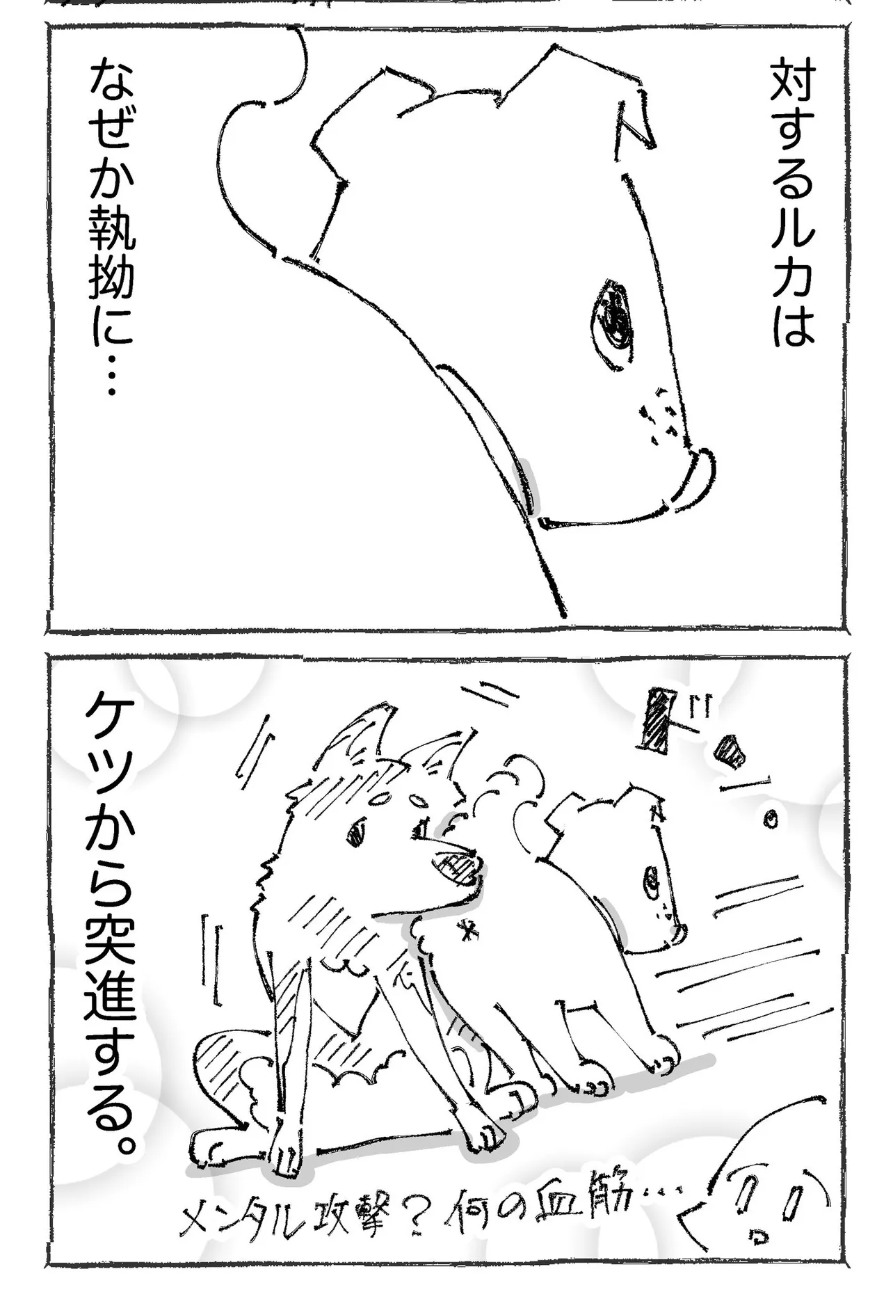 『うちの犬のルカ。』(4／12)