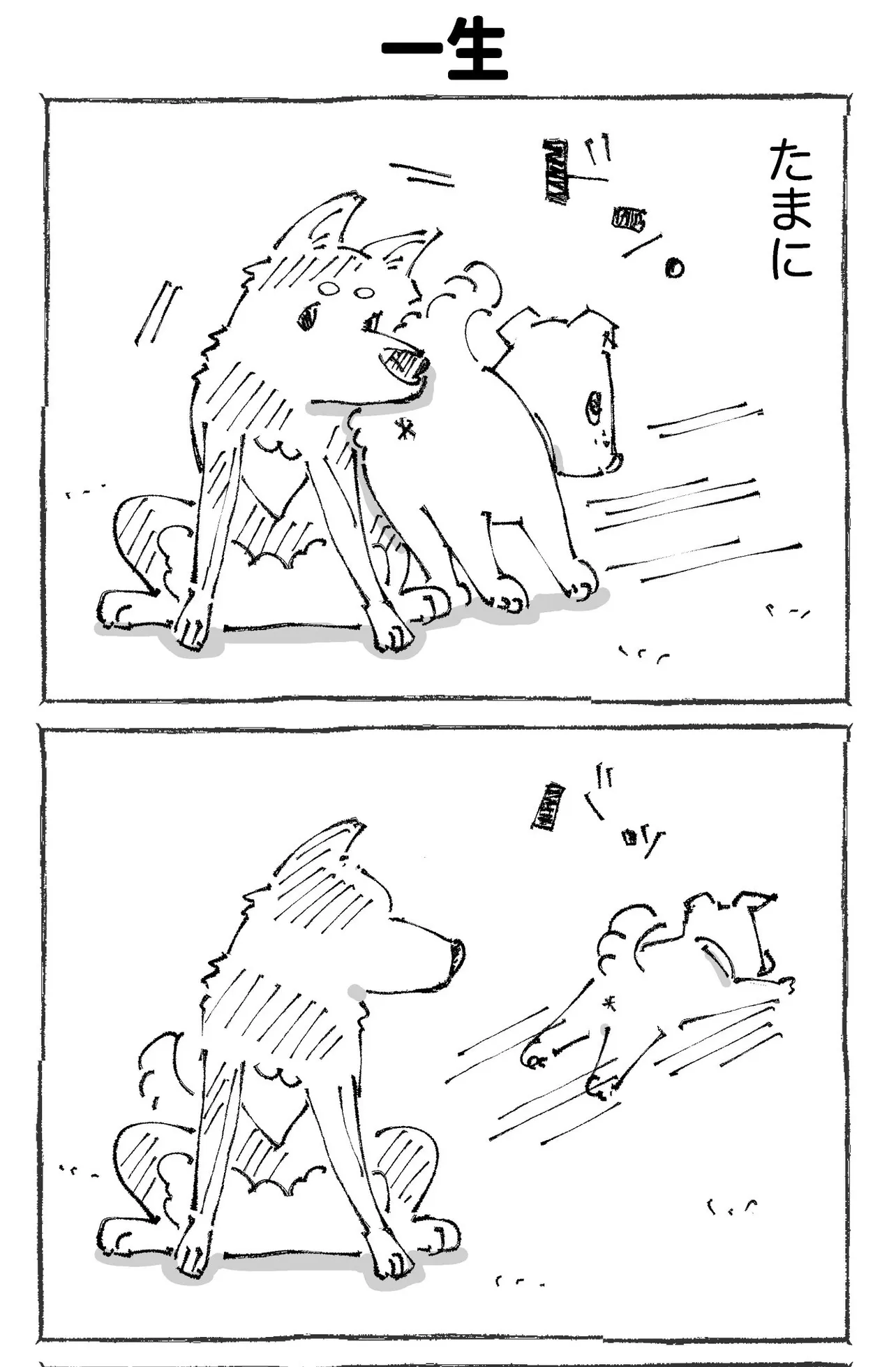 『うちの犬のルカ。』(5／12)