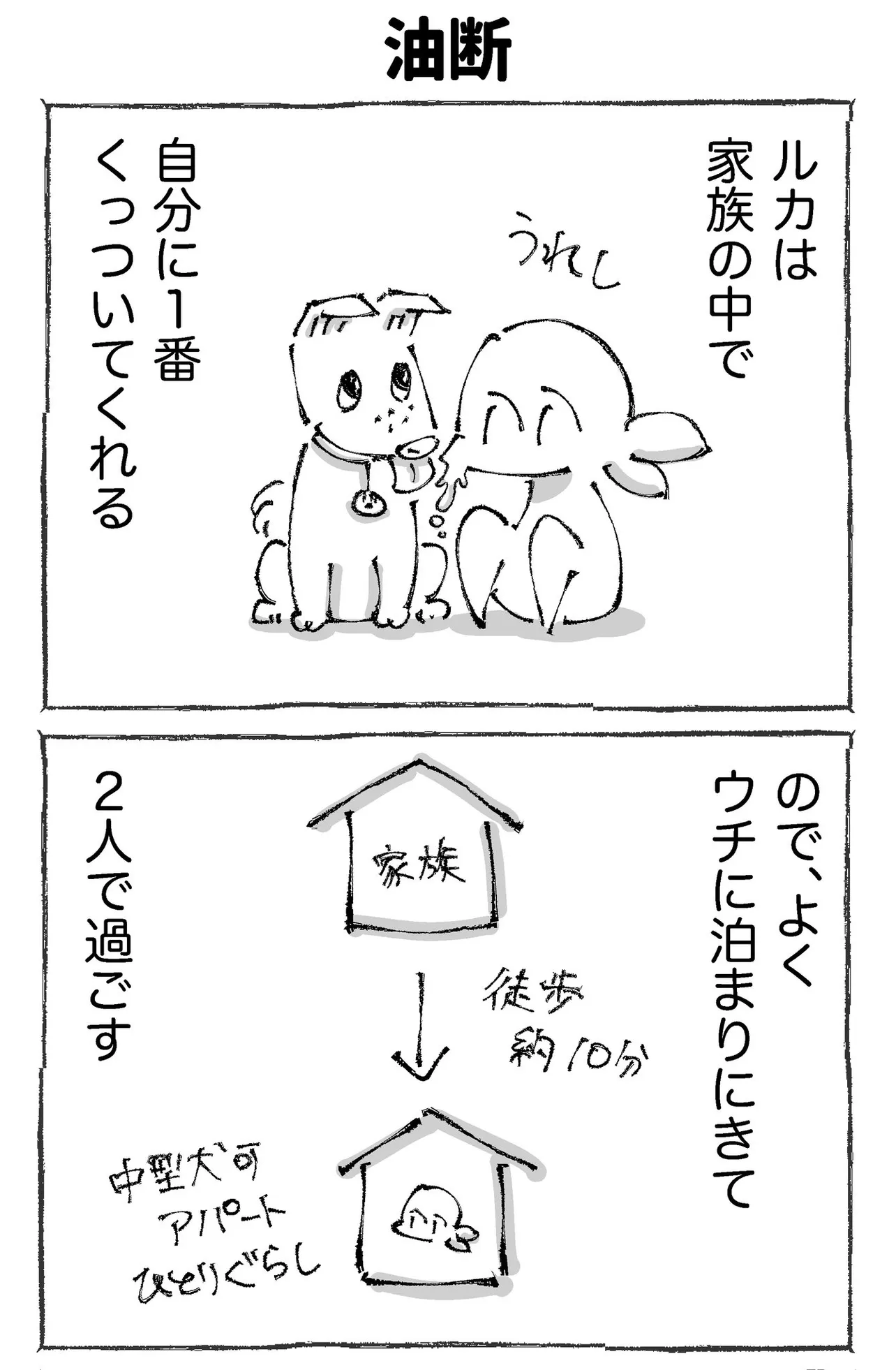 『うちの犬のルカ。』(8／12)