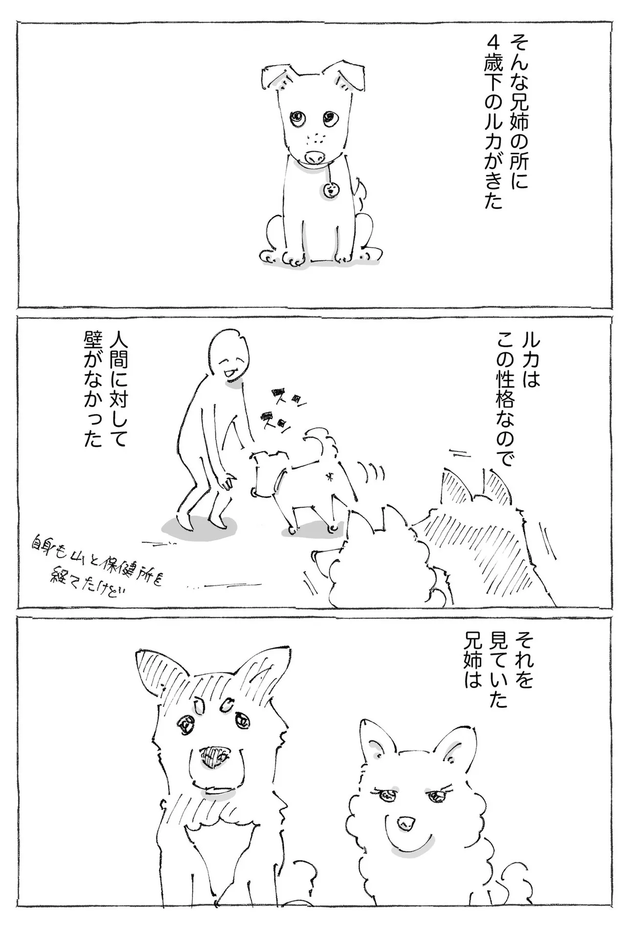 『うちの犬のルカ。』(11／12)