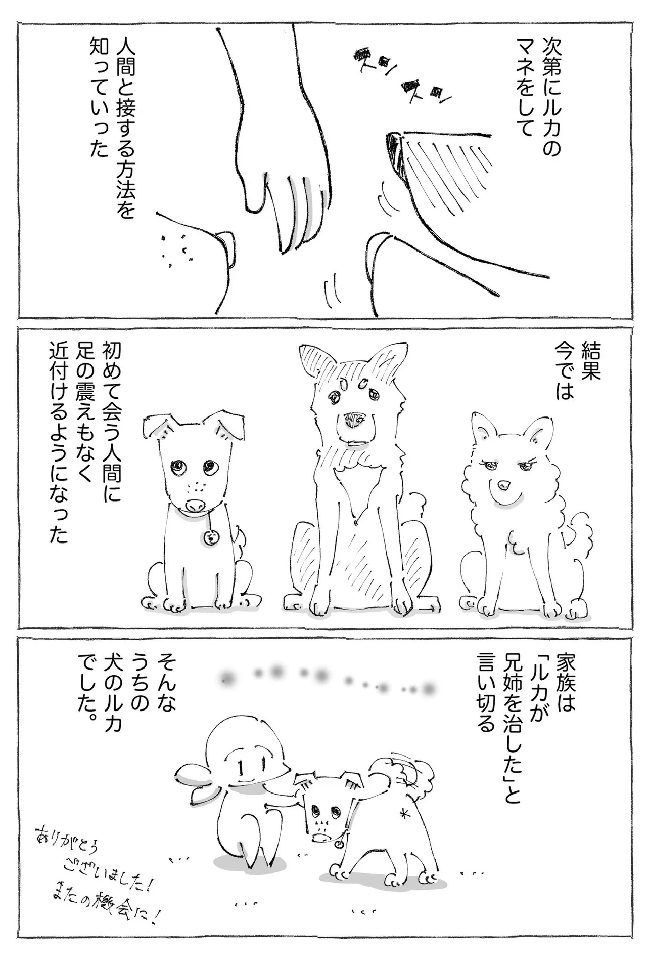 『うちの犬のルカ。』(12／12)