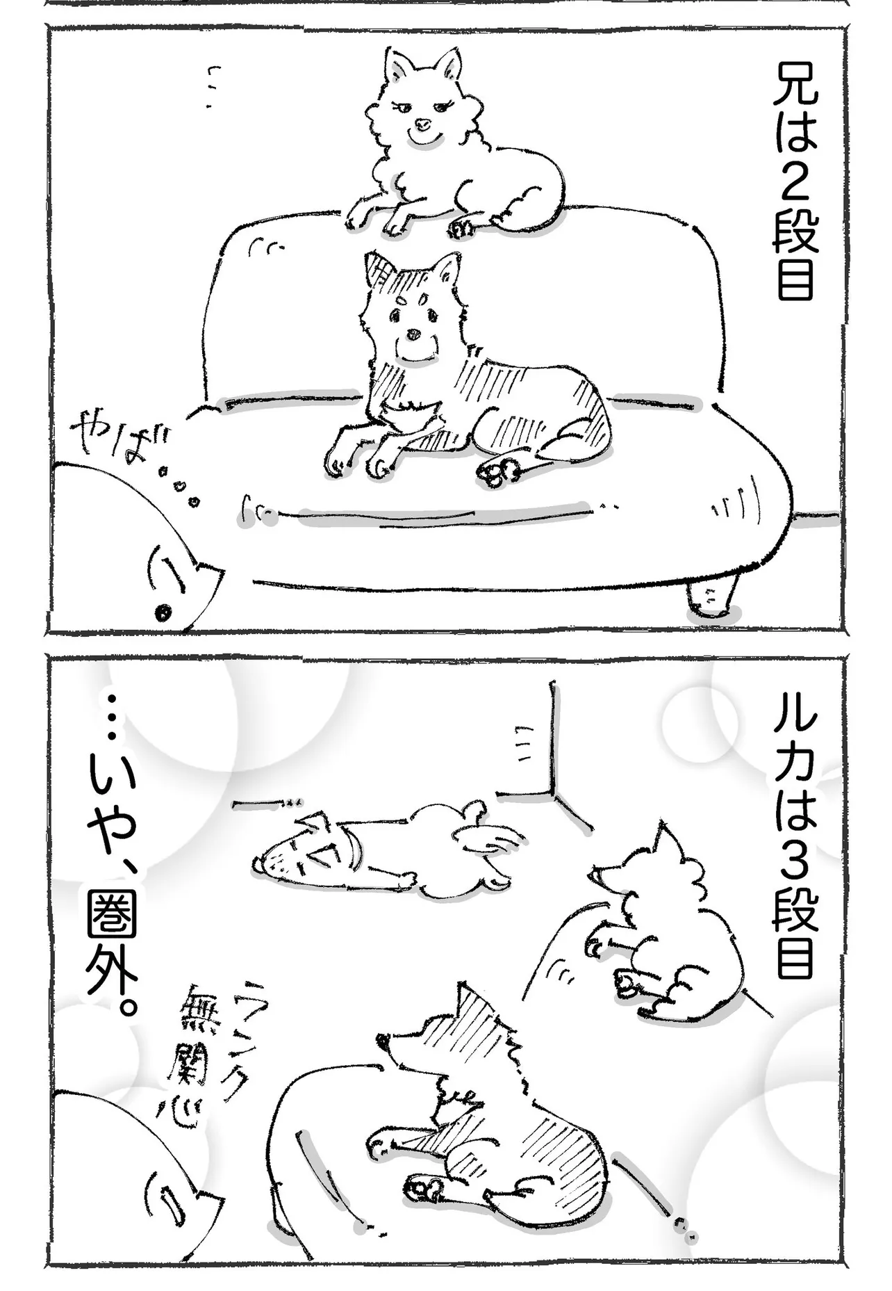 『うちの犬のルカ。2』(4／7)