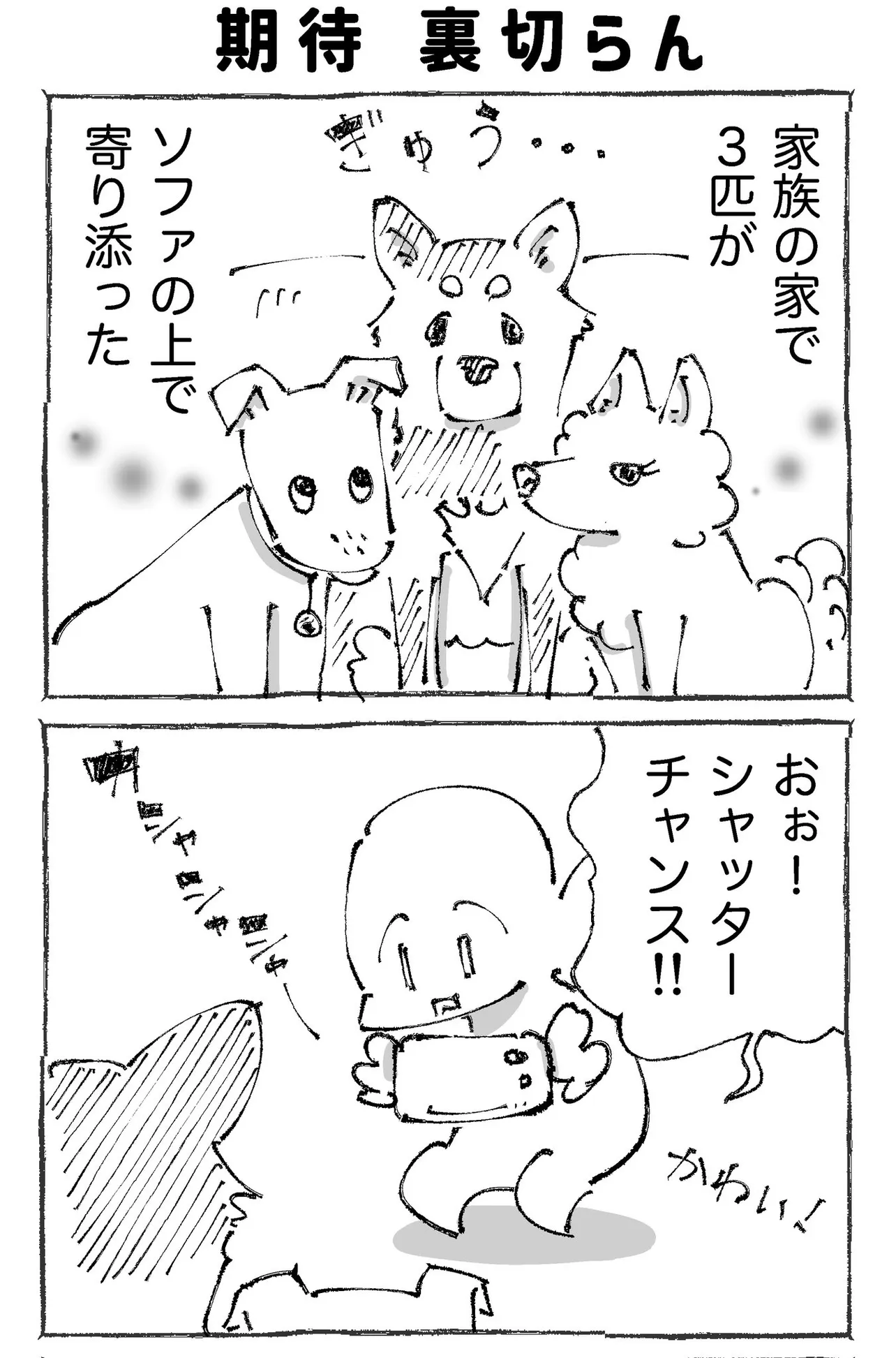 『うちの犬のルカ。3』(1／8)