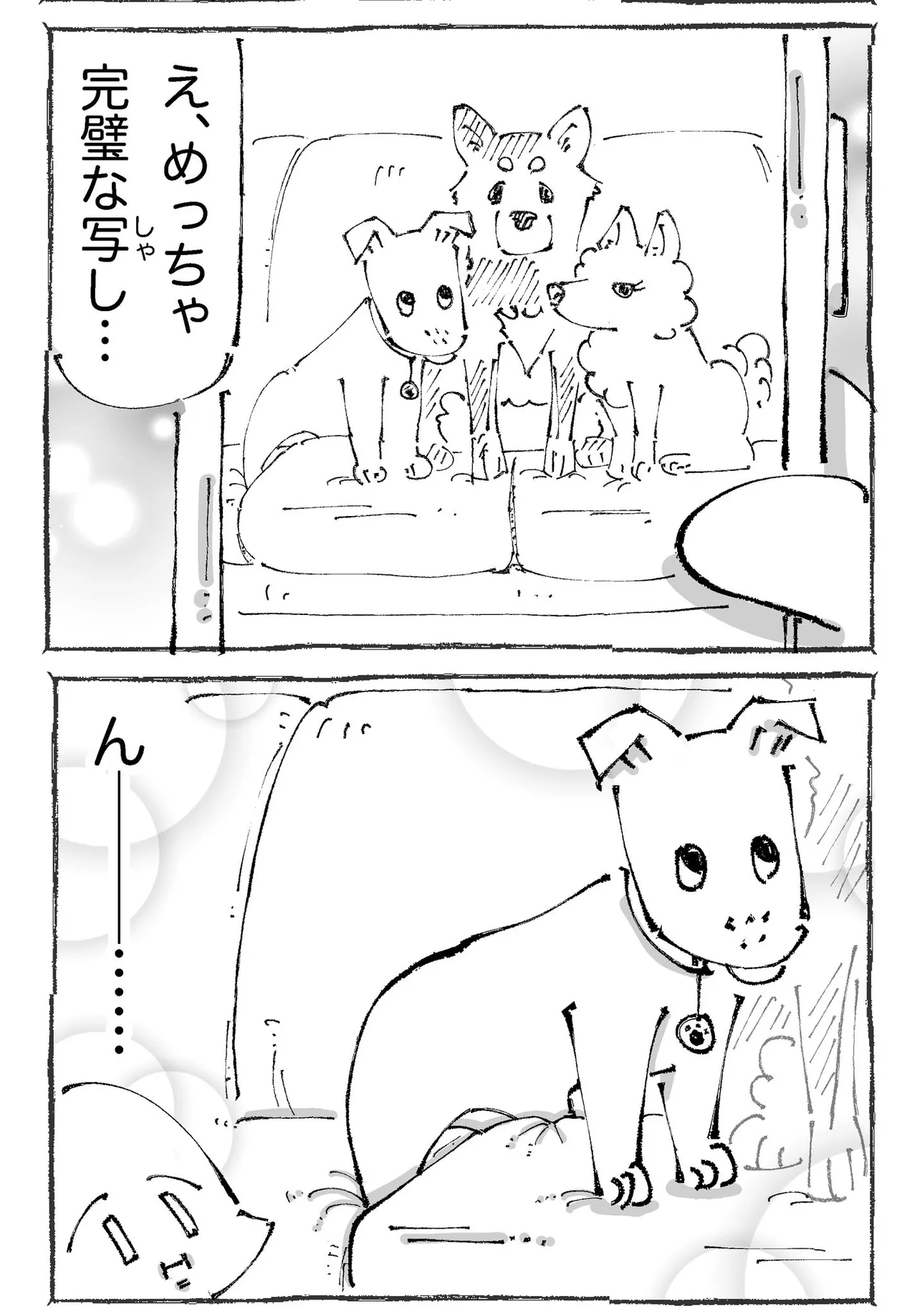 『うちの犬のルカ。3』(2／8)