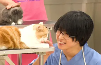 Snow Man・佐久間大介、猫に愛されまくる“特殊能力”を発揮　アスリートとスーパードッグの対決も＜アニマリング＞