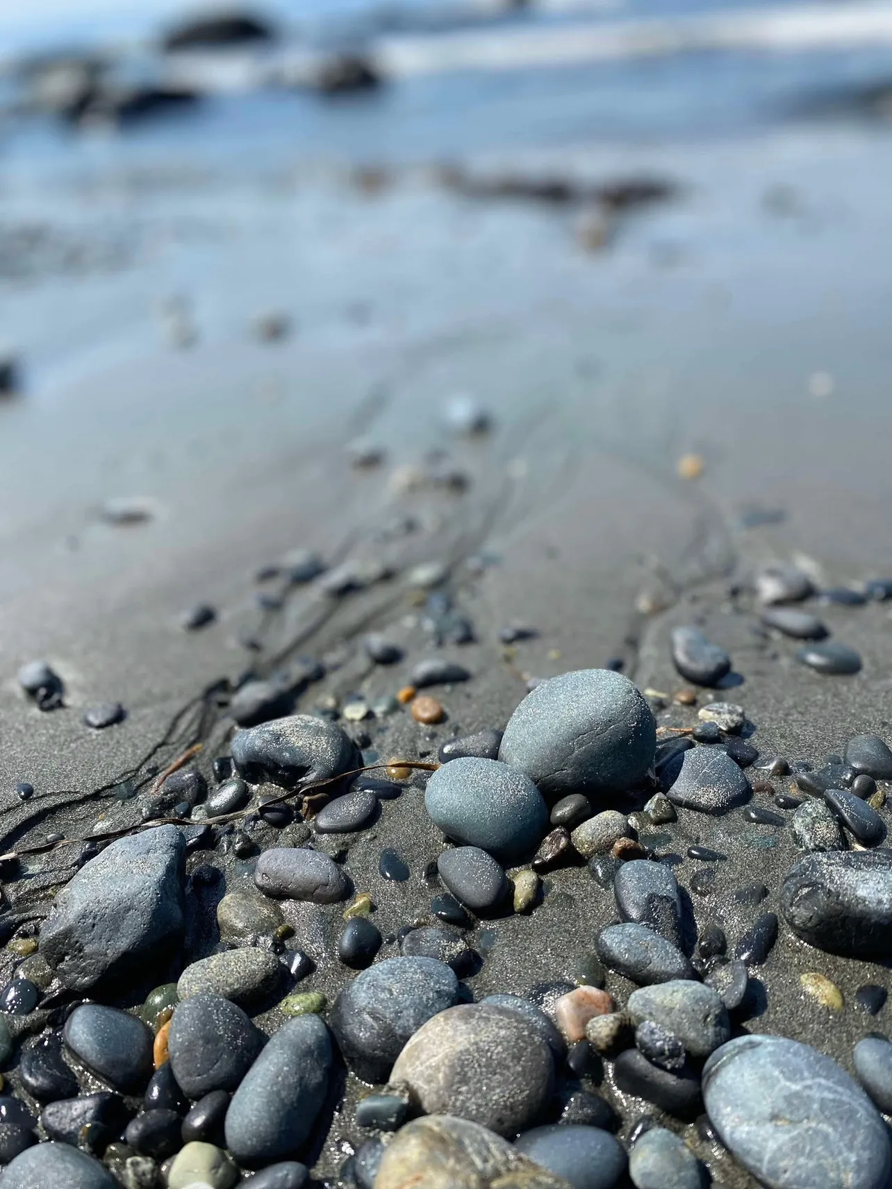 【写真】カナダ滞在中に訪れたパシフィックノースウェストの海岸