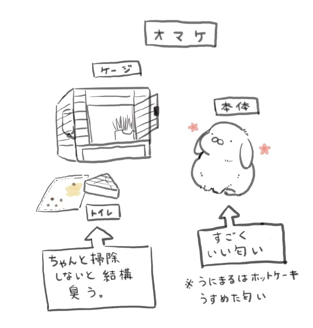 『うさぎ飼いのTLでちょくちょく見る流れ』(3／3)