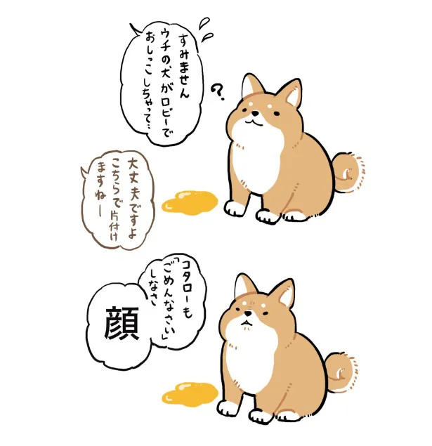 『弊社にきてた犬かわいかった日記』