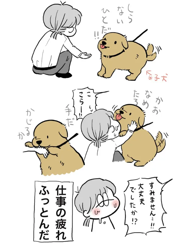 『弊社に来てた子犬考えてることが全部顔に出ててかわいかった。』