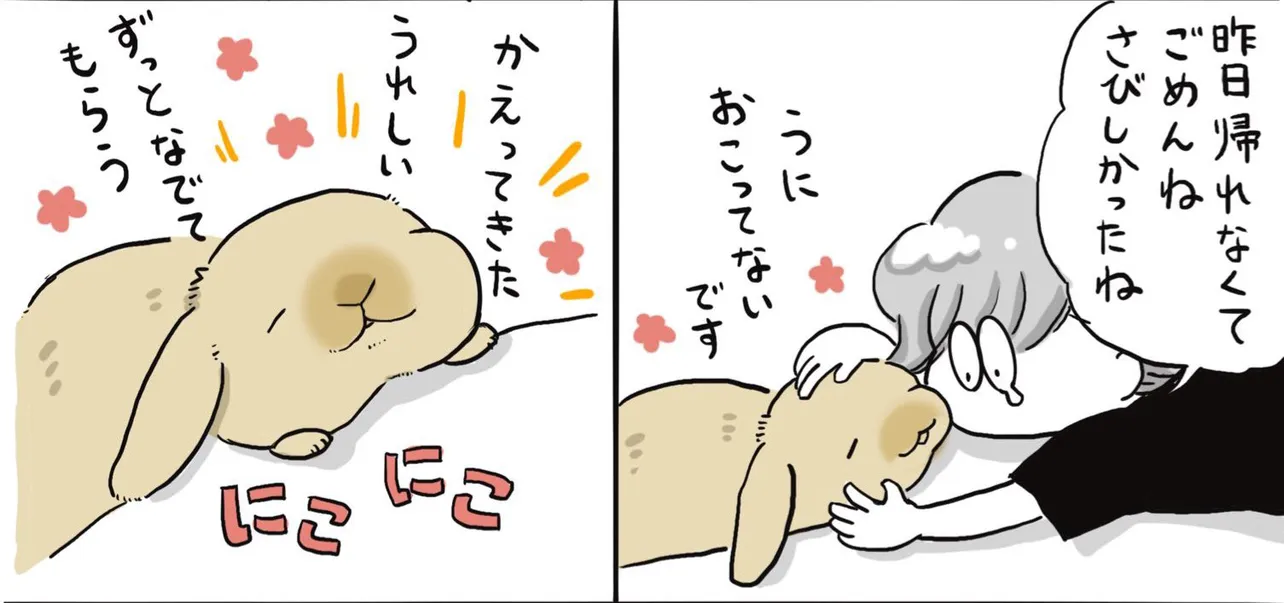 撫でてもらってニコニコのうにまる　