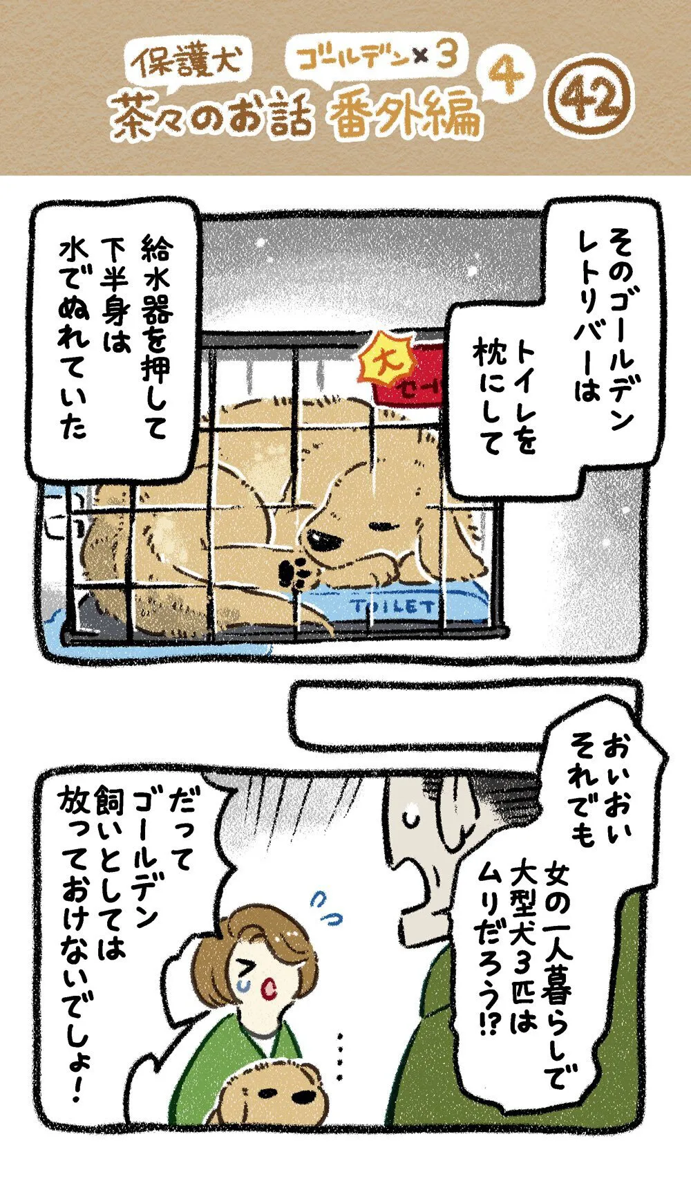 『ドベとノラ　犬が結んだご縁』より『保護犬茶々のお話　ゴールデン×3番外編』(12／24)