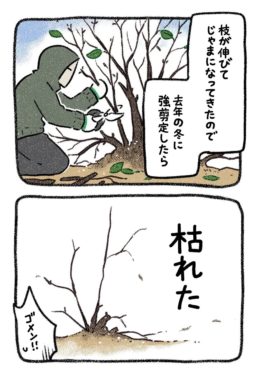 『アジサイ』(2／12)