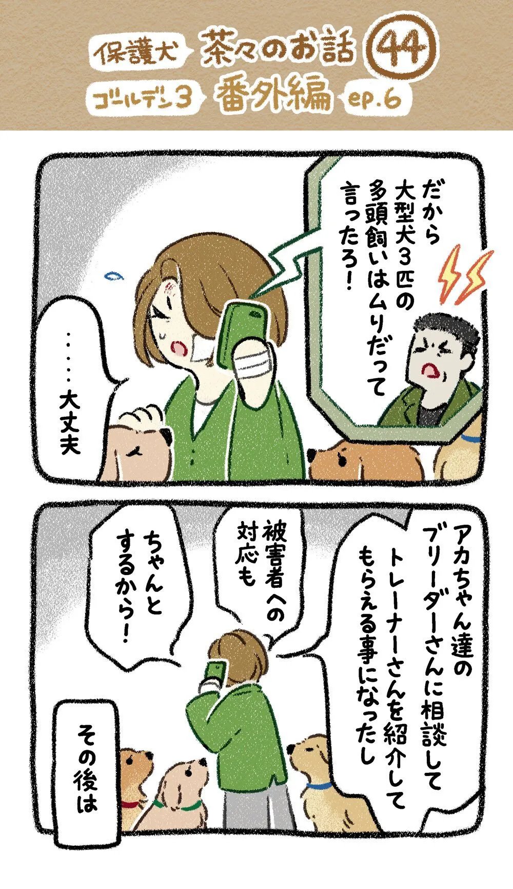 『ドベとノラ　犬が結んだご縁』より『保護犬茶々のお話　ゴールデン×3番外編』(19／24)