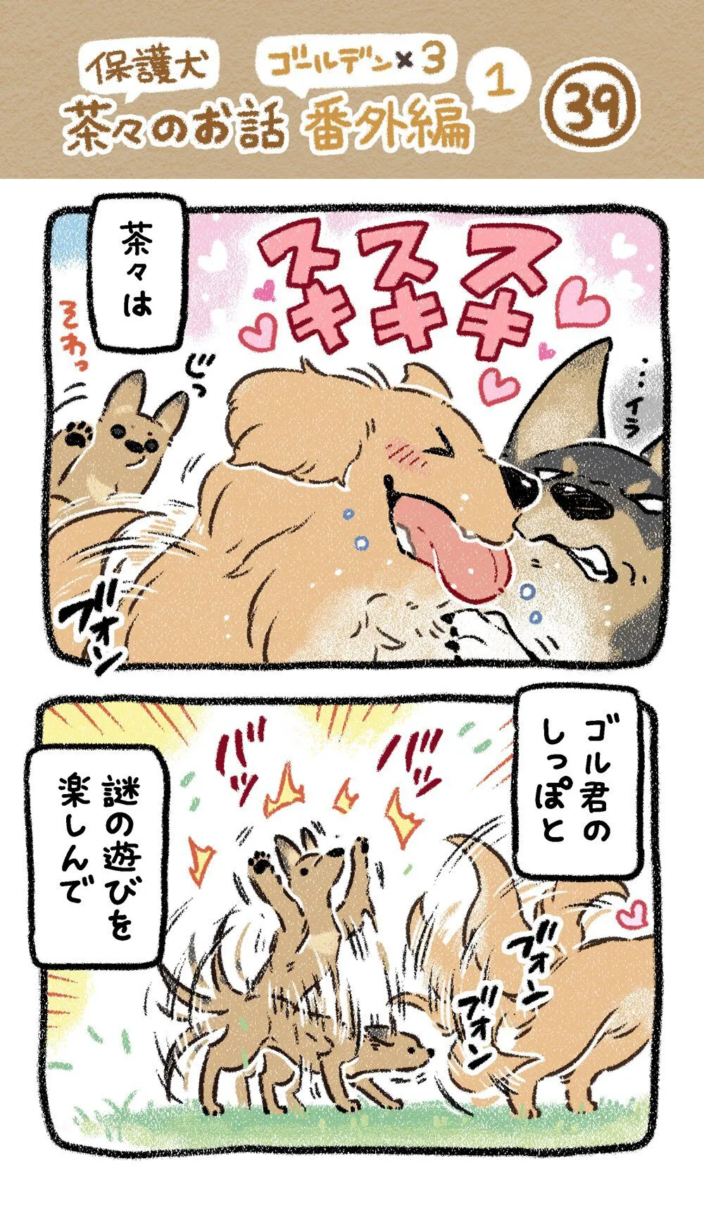 『ドベとノラ　犬が結んだご縁』より『保護犬茶々のお話　ゴールデン×3番外編』(1／24)