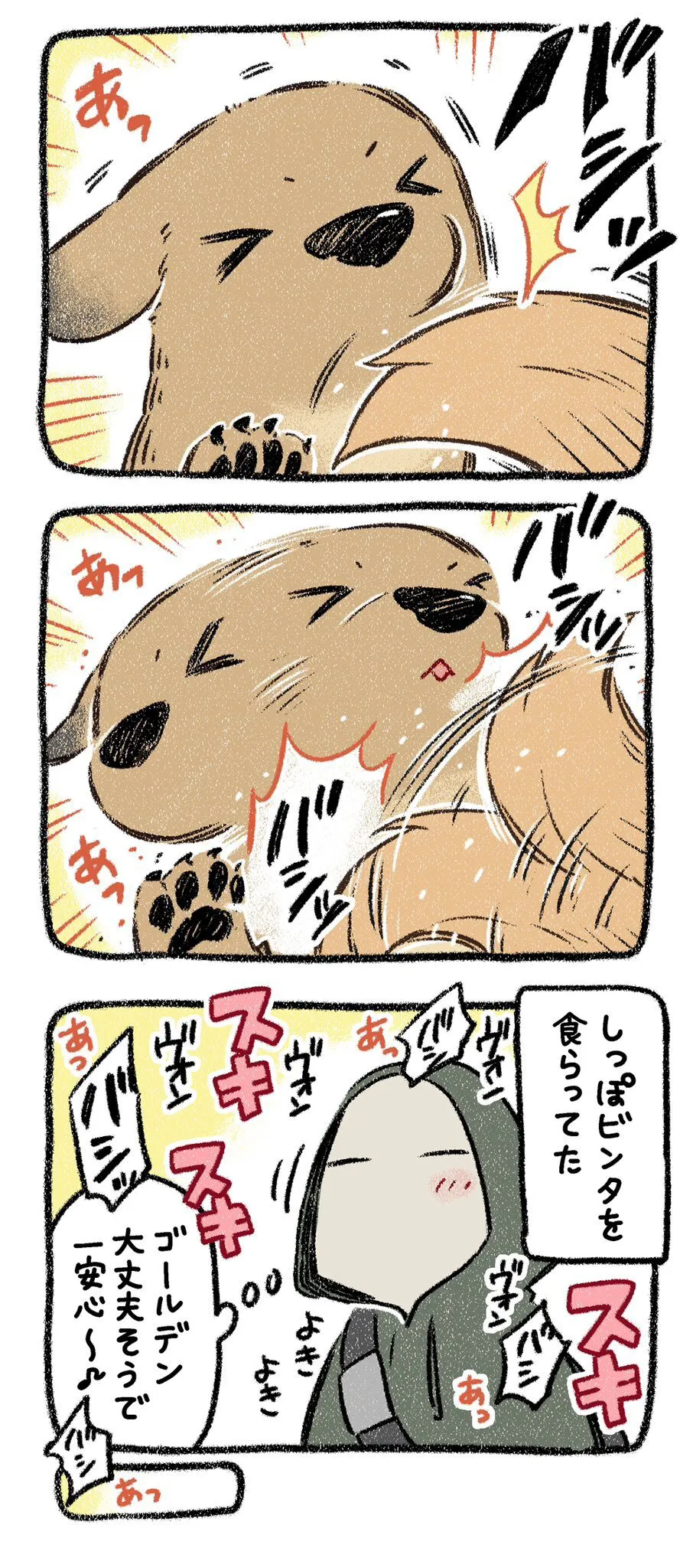 『ドベとノラ　犬が結んだご縁』より『保護犬茶々のお話　ゴールデン×3番外編』(2／24)