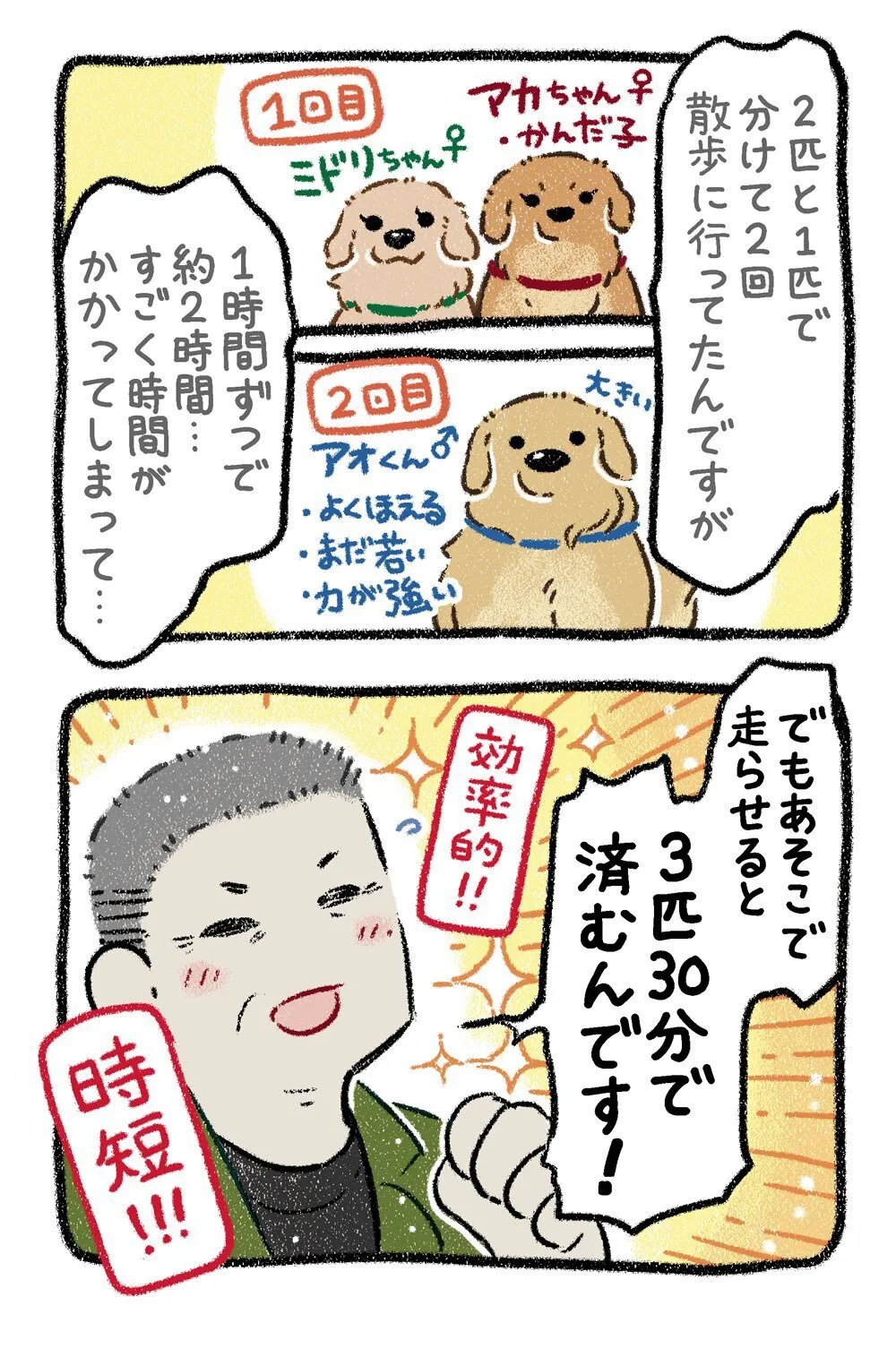 『ドベとノラ　犬が結んだご縁』より『保護犬茶々のお話　ゴールデン×3番外編』(5／24)