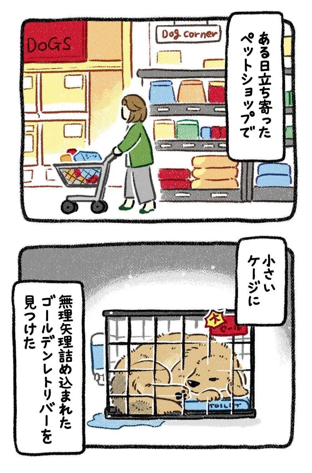 『ドベとノラ　犬が結んだご縁』より『保護犬茶々のお話　ゴールデン×3番外編』(11／24)