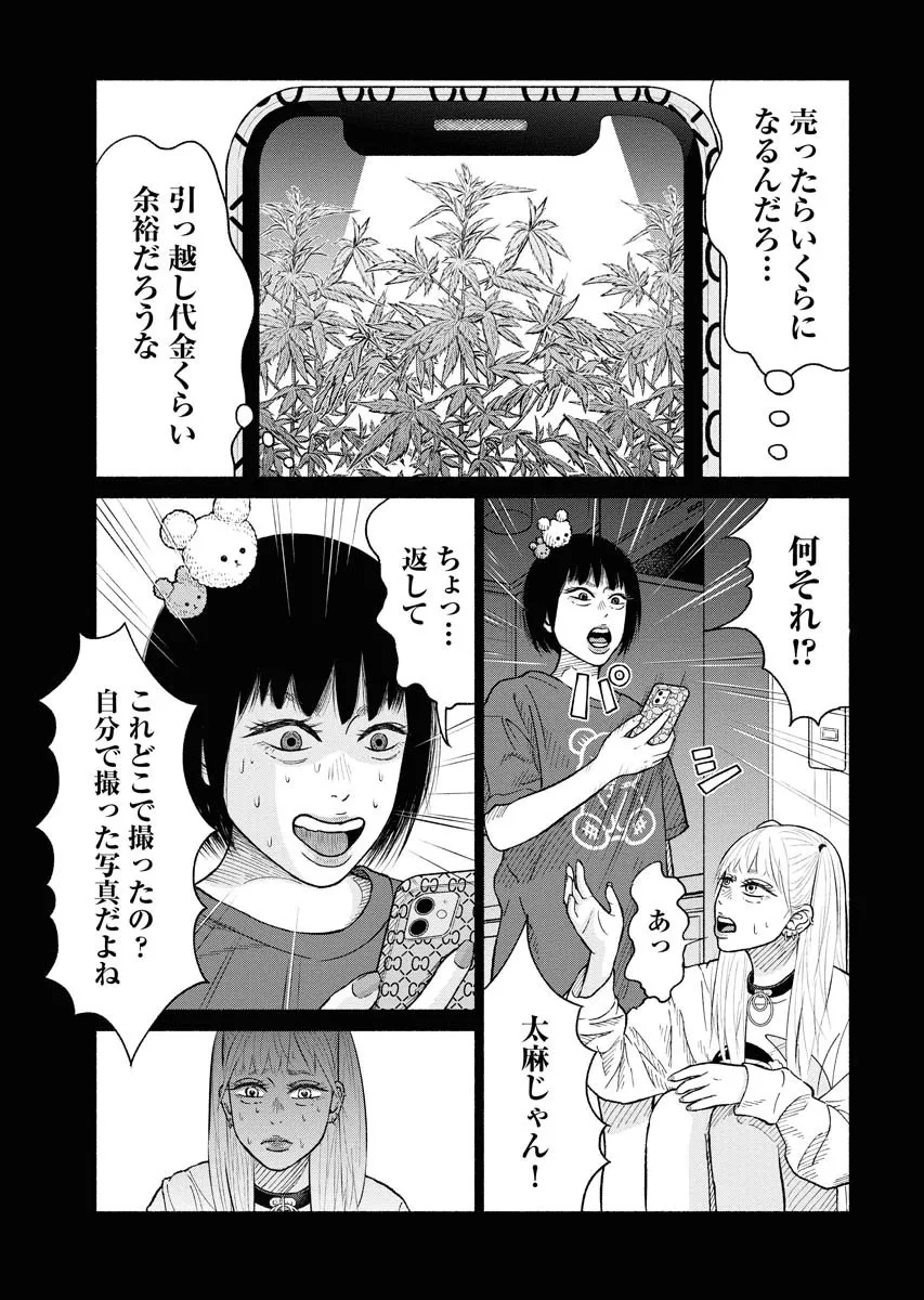 『銭麻』(22／29)