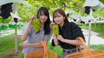 乃木坂46賀喜遥香&菅原咲月の旅は静岡から山梨へ「アイドルって難しい」2人きりだからこそ出る本音も<乃木坂、逃避行。>