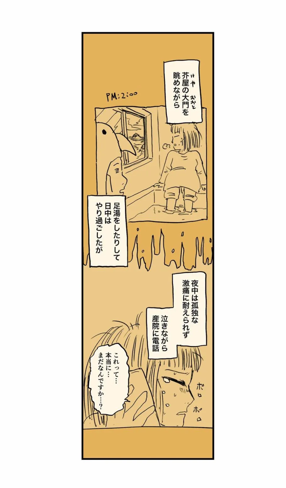 『移住夫婦の出産が壮絶だった話』(44／79)