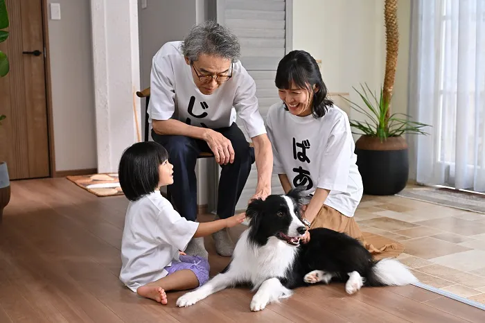 「西園寺さんは家事をしない」最終回より