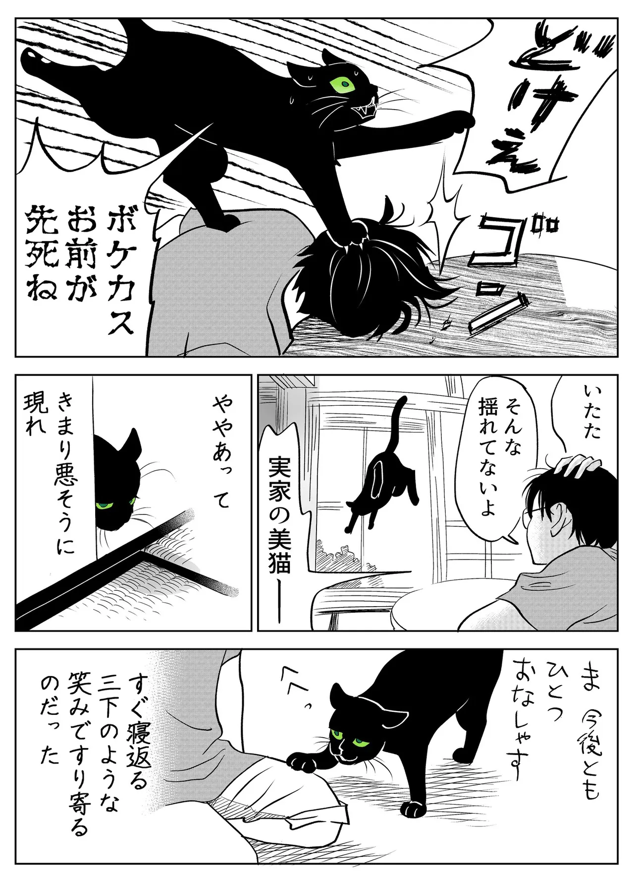 『うちの猫は様子がおかしい。』(37／39)