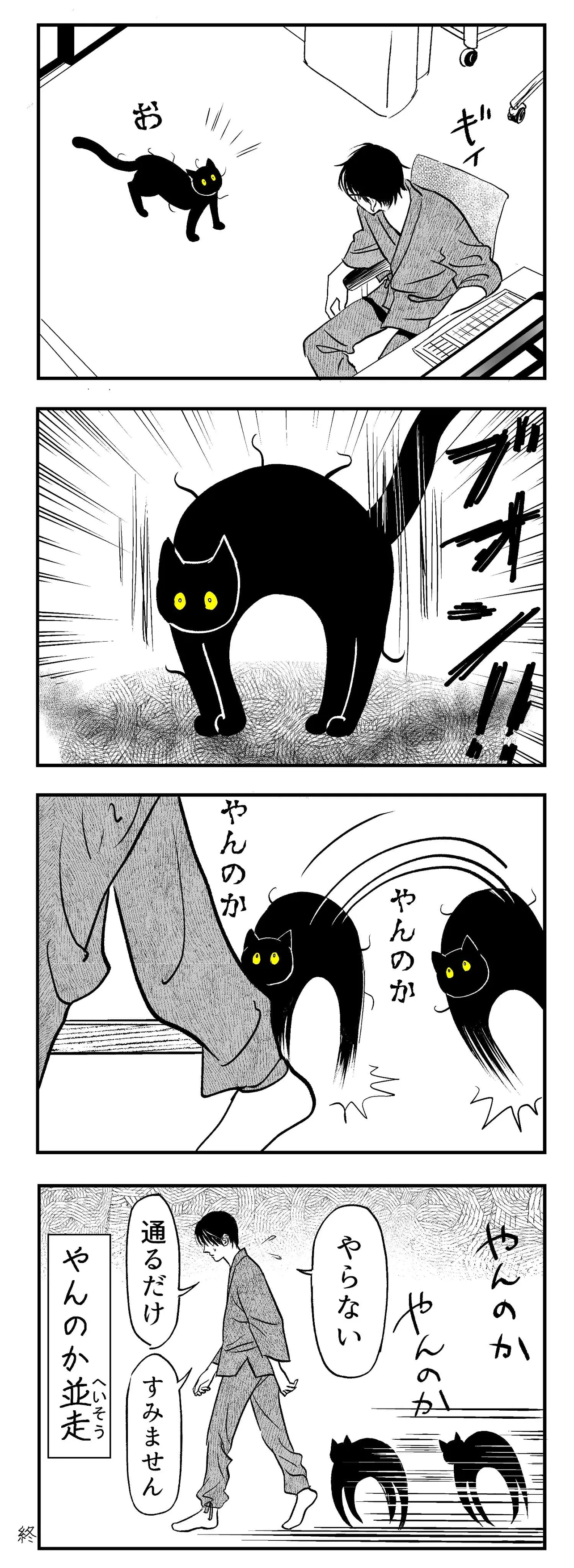 『うちの猫は様子がおかしい。』(9／39)