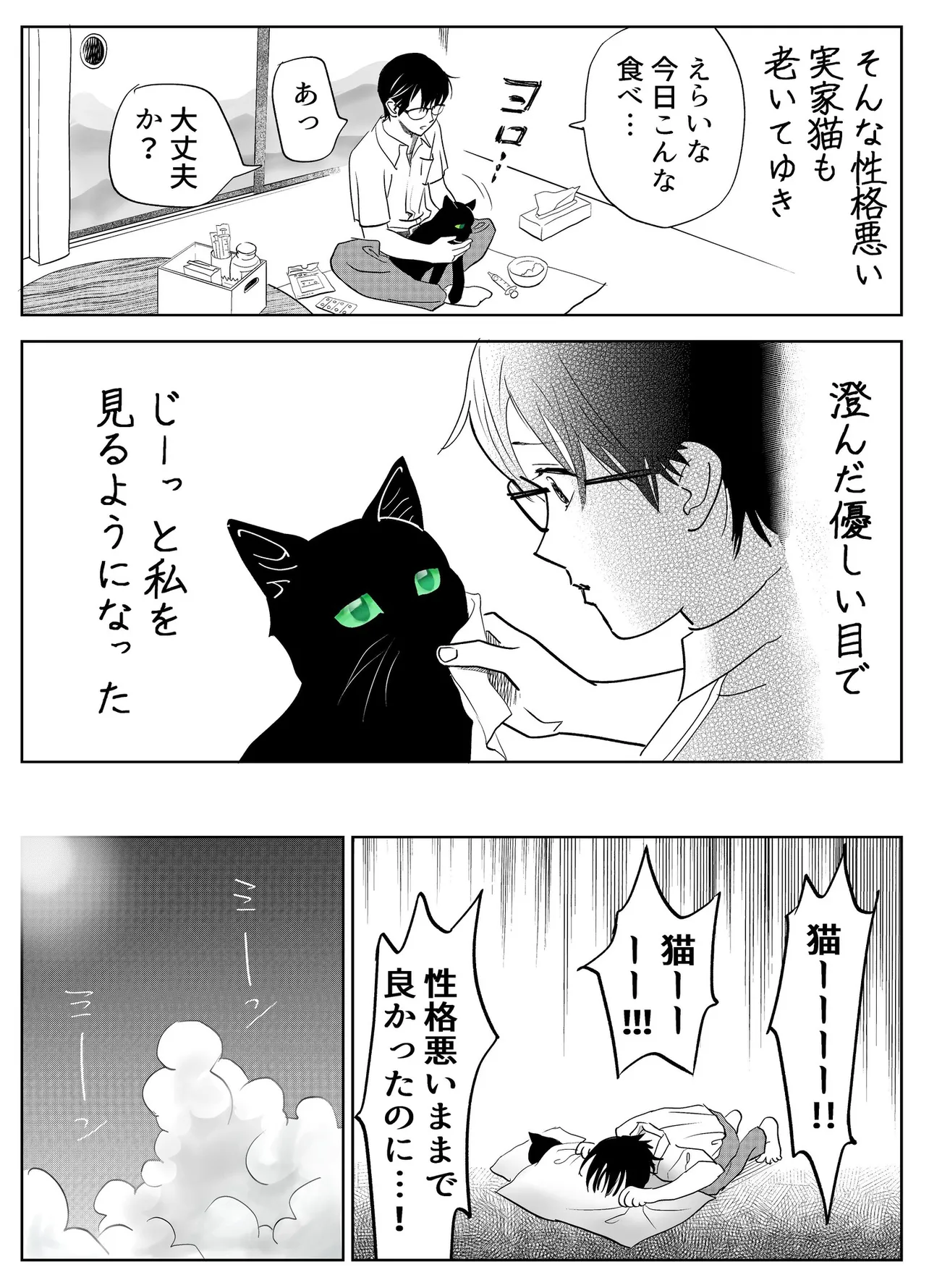 『うちの猫は様子がおかしい。』(38／39)