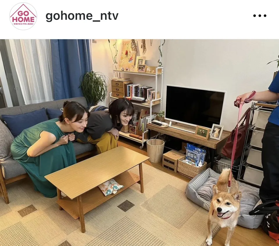 ※画像はドラマ「GO HOME〜警視庁身元不明人相談室〜」公式Instagram(gohome_ntv)より