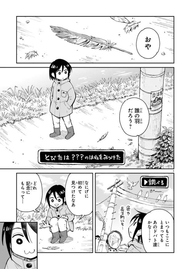 『まいにち鳥びより』第7羽『羽拾いのおはなし』(1／10)