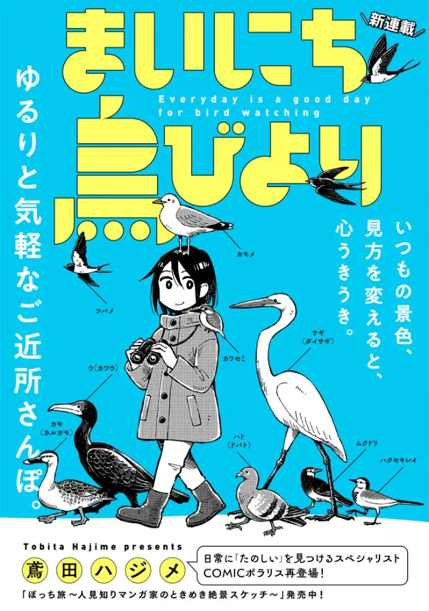 『まいにち鳥びより』