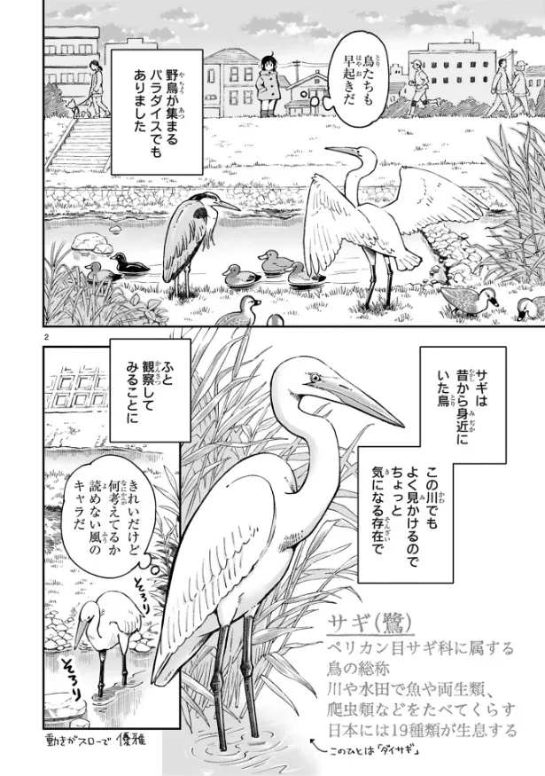 『まいにち鳥びより』第1羽『サギのおはなし』(2／9)