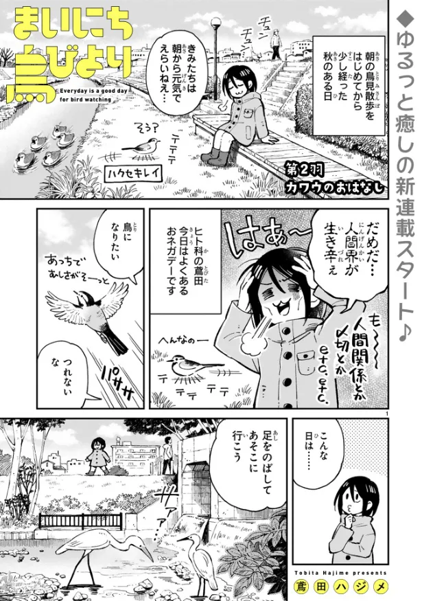 『まいにち鳥びより』第2羽『カワウのおはなし』(1／10)