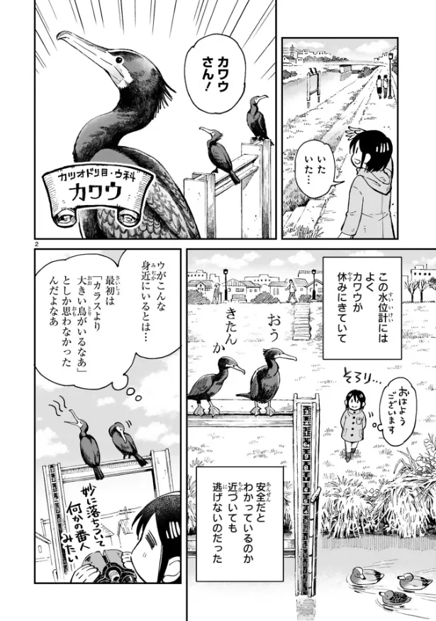 『まいにち鳥びより』第2羽『カワウのおはなし』(2／10)