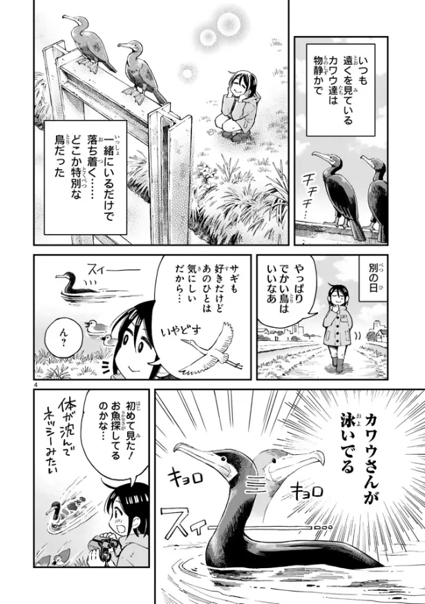 『まいにち鳥びより』第2羽『カワウのおはなし』(4／10)