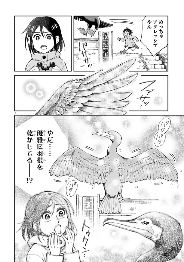 『まいにち鳥びより』第2羽『カワウのおはなし』(6／10)