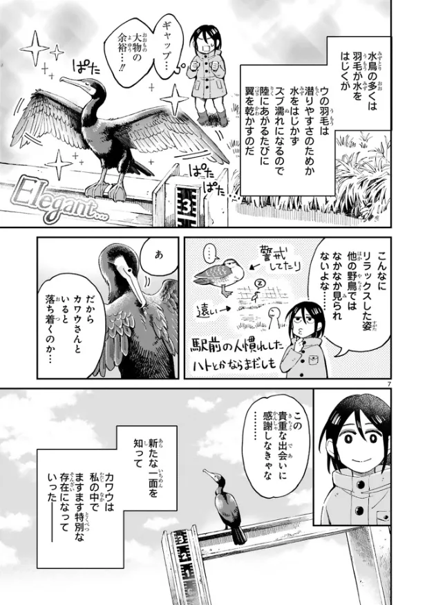 『まいにち鳥びより』第2羽『カワウのおはなし』(7／10)