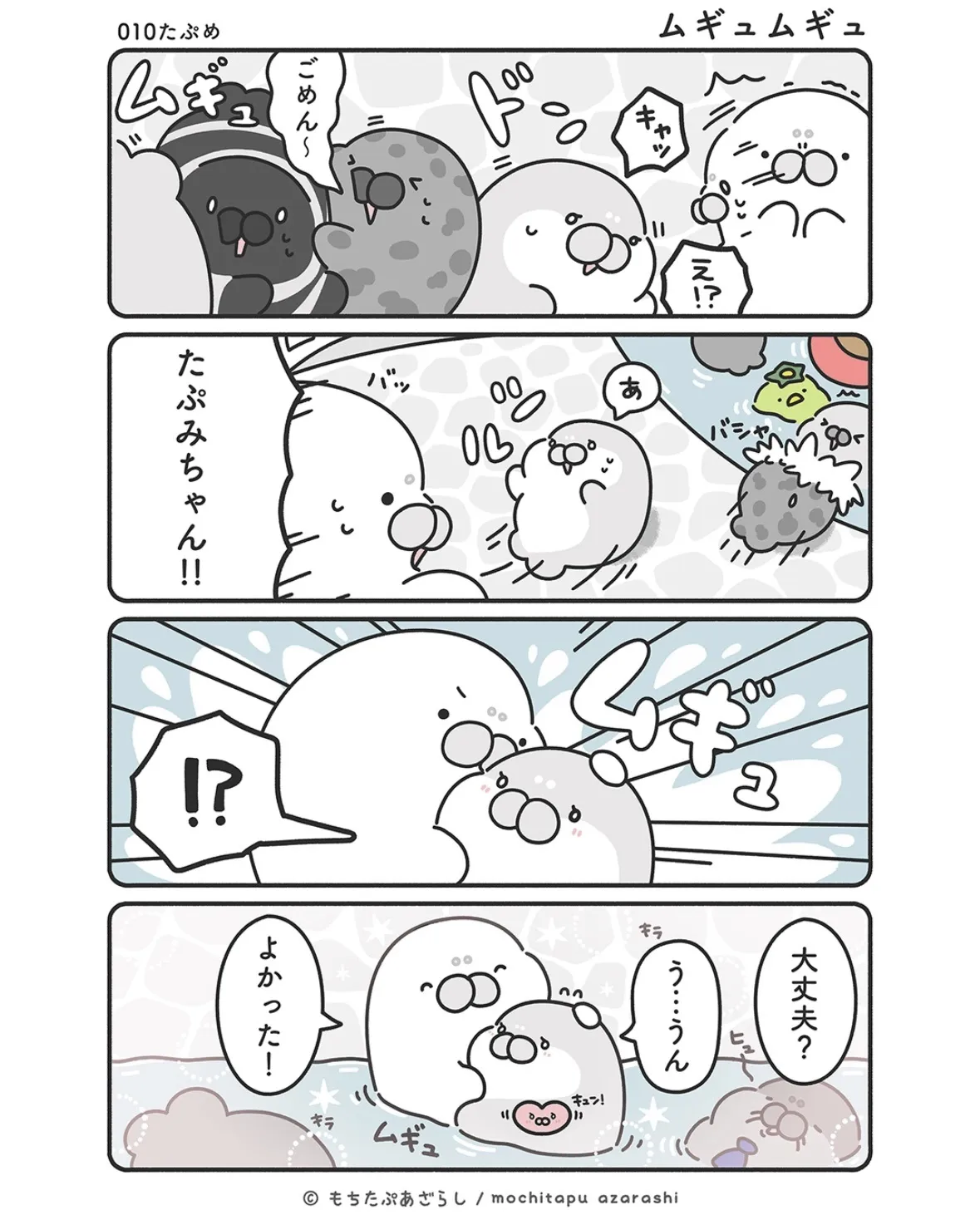 『もちたぷあざらし』（18／37）