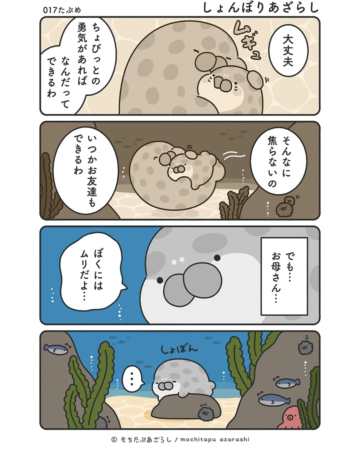 『もちたぷあざらし』（26／37）