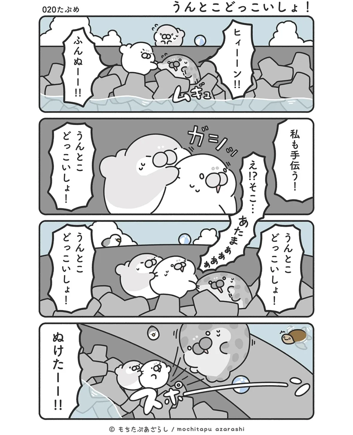 『もちたぷあざらし』（29／37）