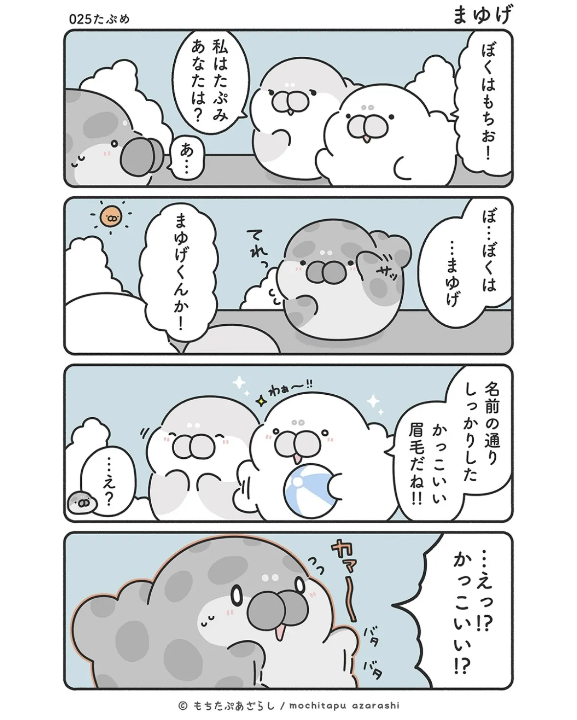 『もちたぷあざらし』（34／37）