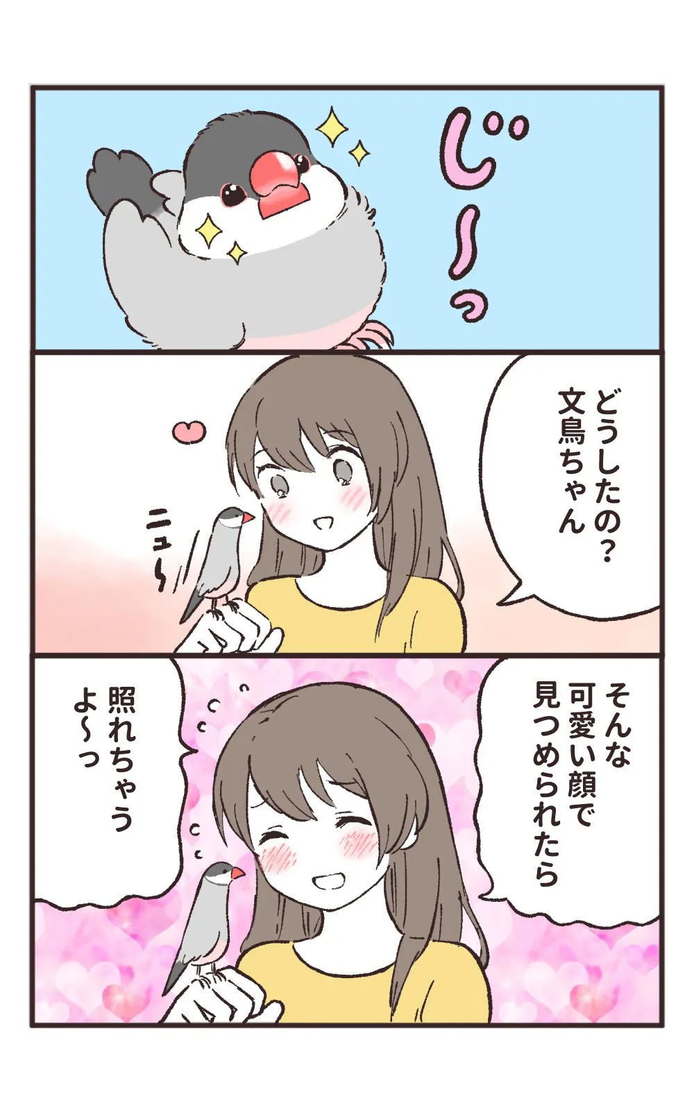 『文鳥あるある』(1／16)