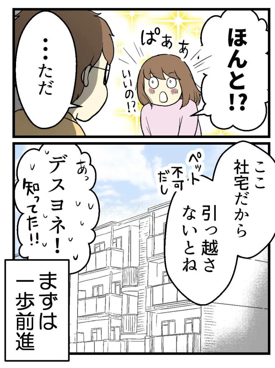 「子どもを諦めた夫婦が猫を迎えたら幸せになった話」(21／21)