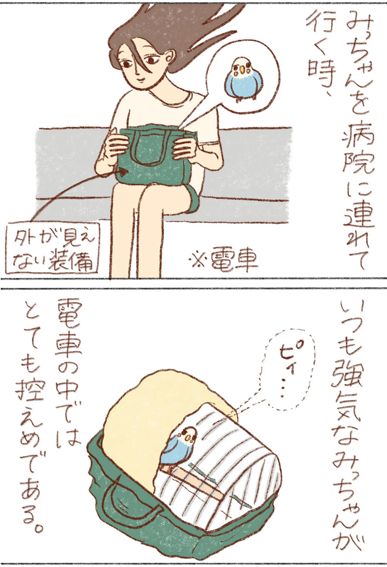 『プジェ日記』(1／28)