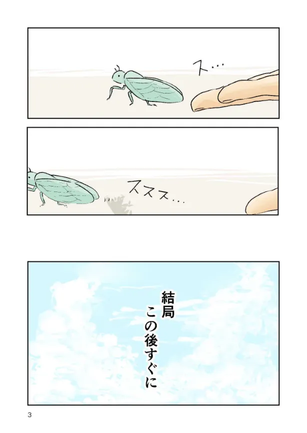 『ひっくり返ったセミの6ページ漫画』(3／6)