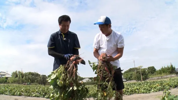 「パンサー尾形のどんぶり旅」