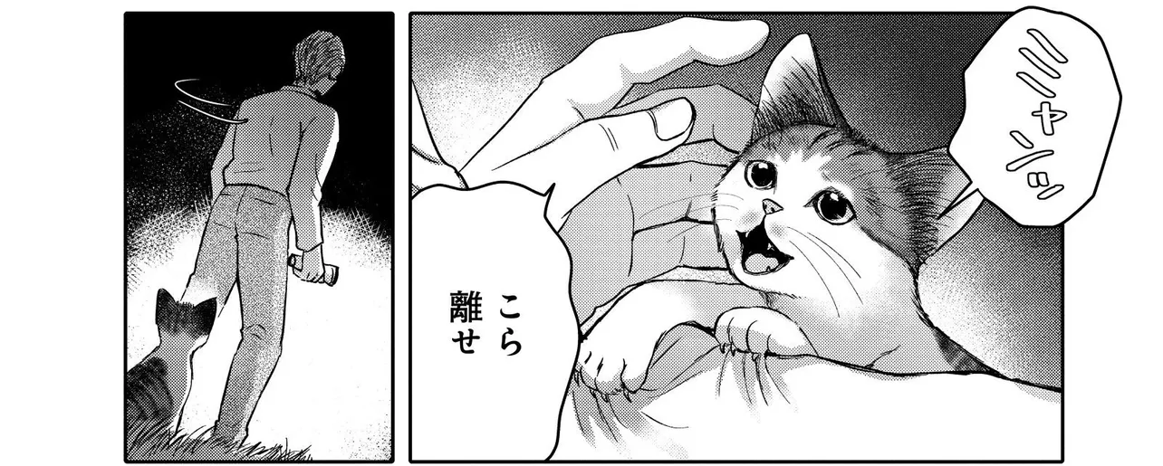 「猫語の教科書」より