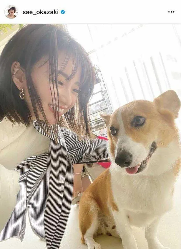 【写真】犬とふれあって満面の笑みを見せる岡崎紗絵 