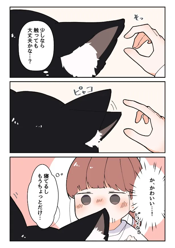 『寝てる黒猫にいたずらするお話』(2／6)