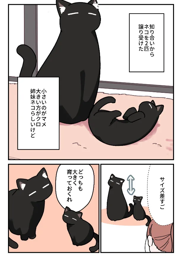 『黒猫がおんなのこになったお話』(1／5)